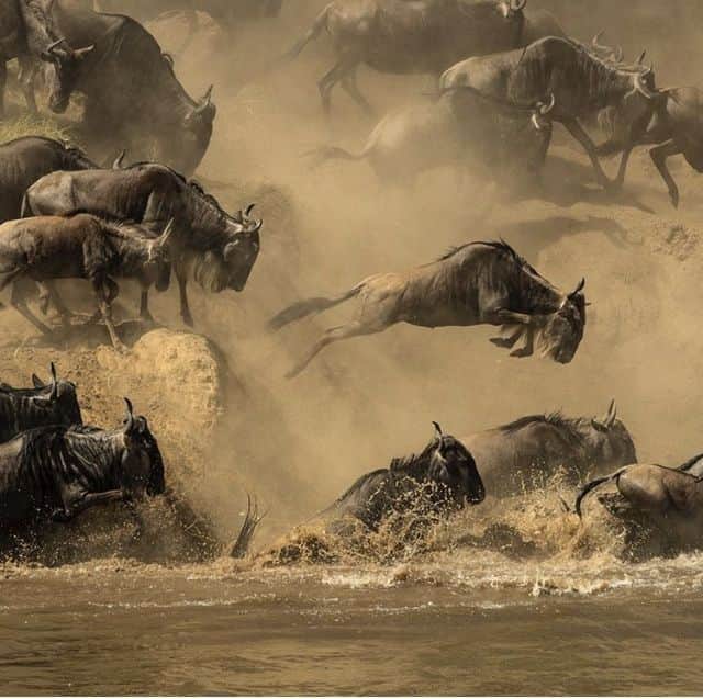 3-Day Zanzibar to Northern Tanzania Midrange Safari photo 3