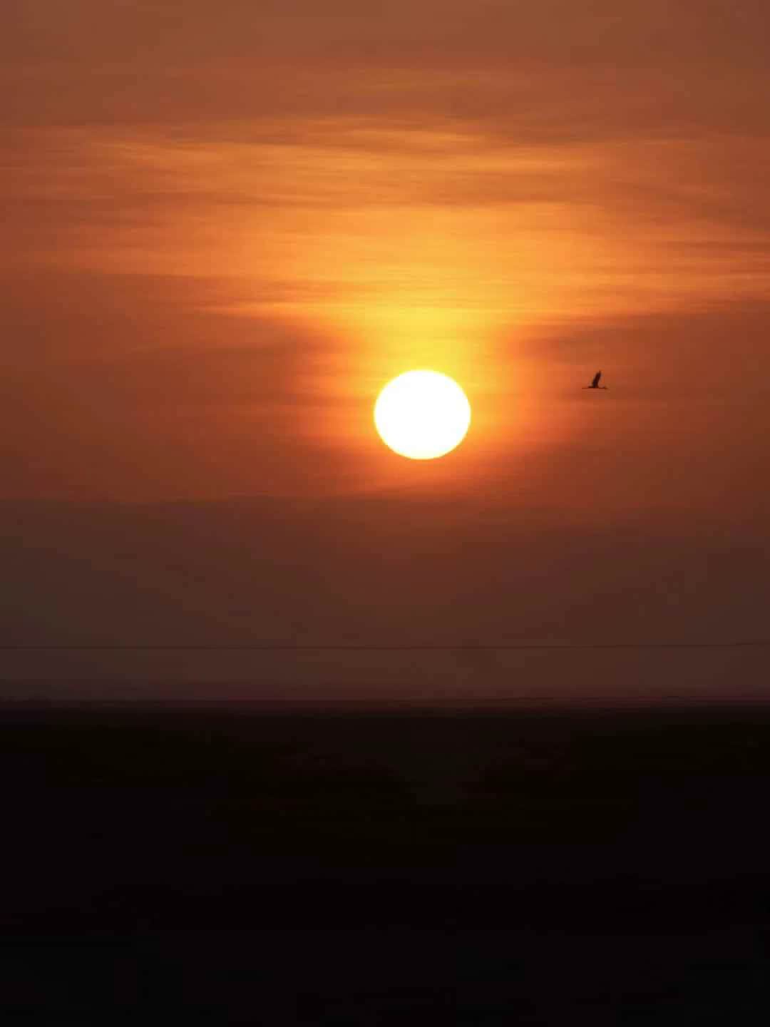 Lappet Faced Safaris photo 1