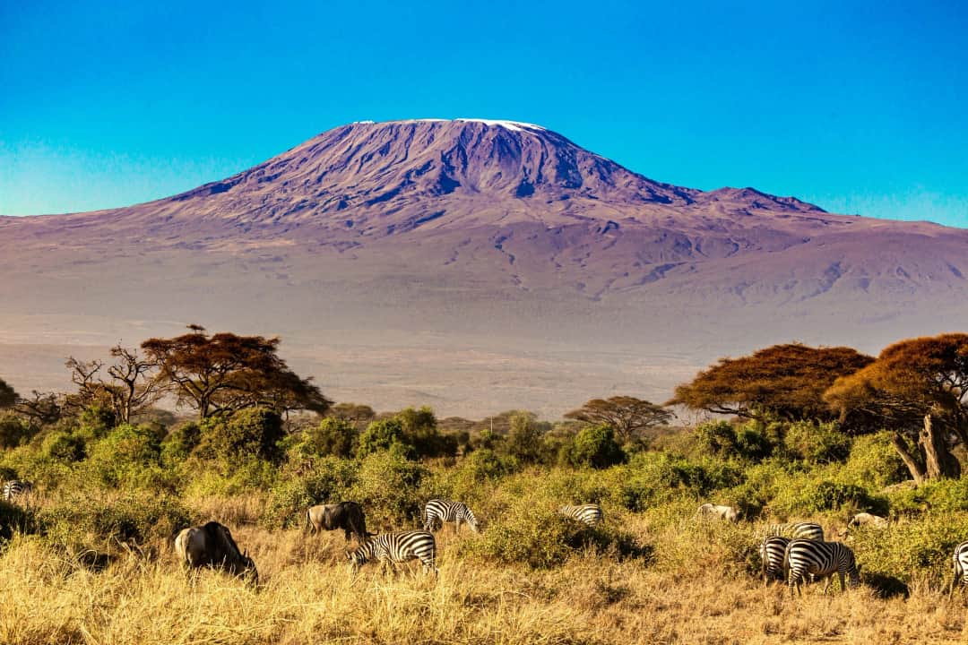 Sentio Safari photo 10