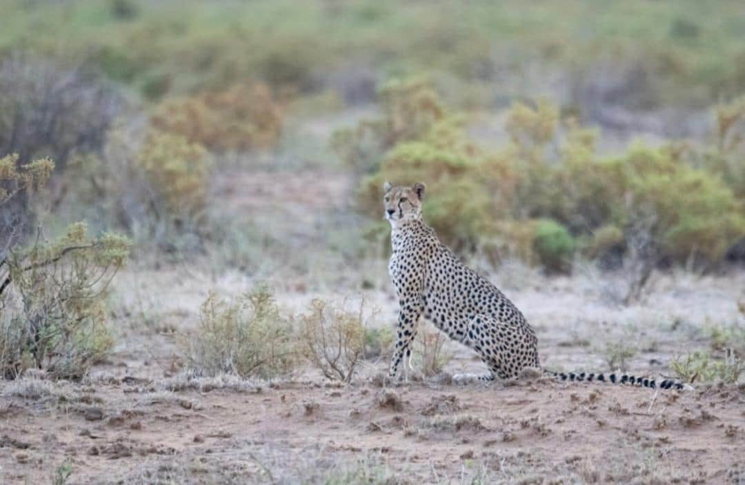 Tarangire National Park