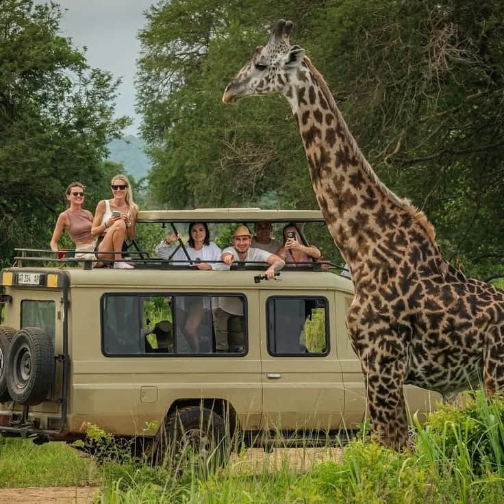 5-Day Ndutu Great Migration Safari from Zanzibar photo 9