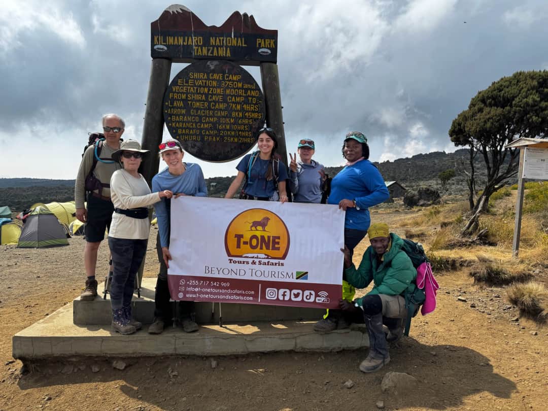 T-One Tours and Safaris photo 10