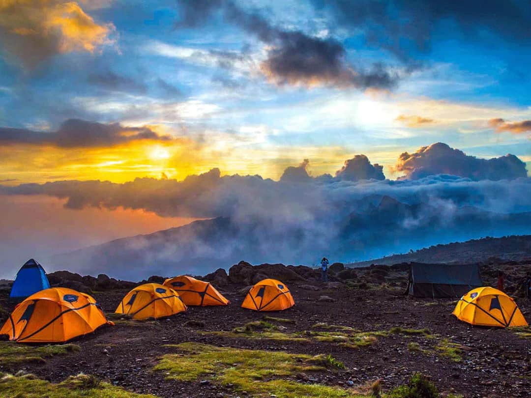 Nature Pulse Expeditions photo 3