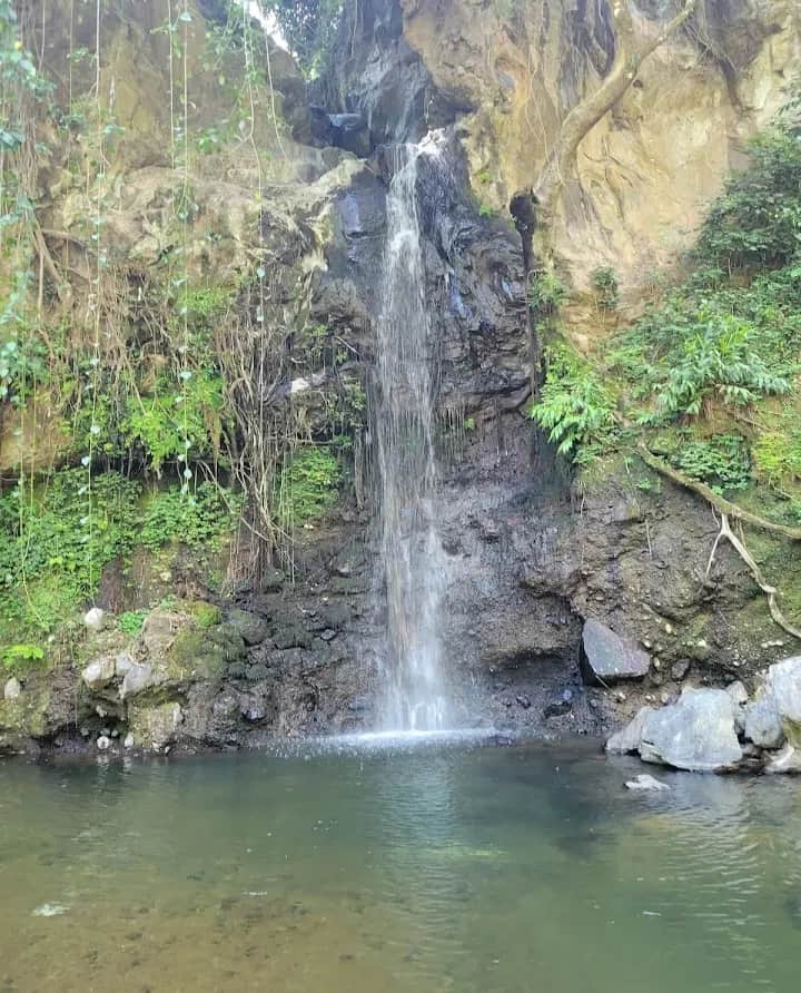 1-Day Materuni Waterfalls, Coffee & Chemka Hot Springs photo 2
