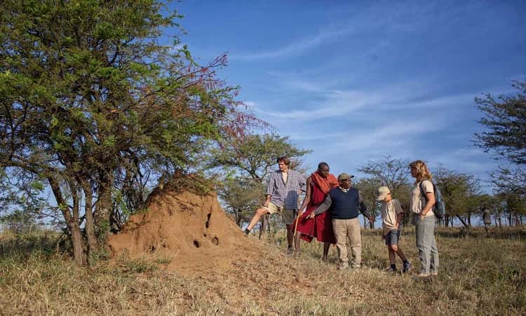 Matawi Serengeti Camp photo 5