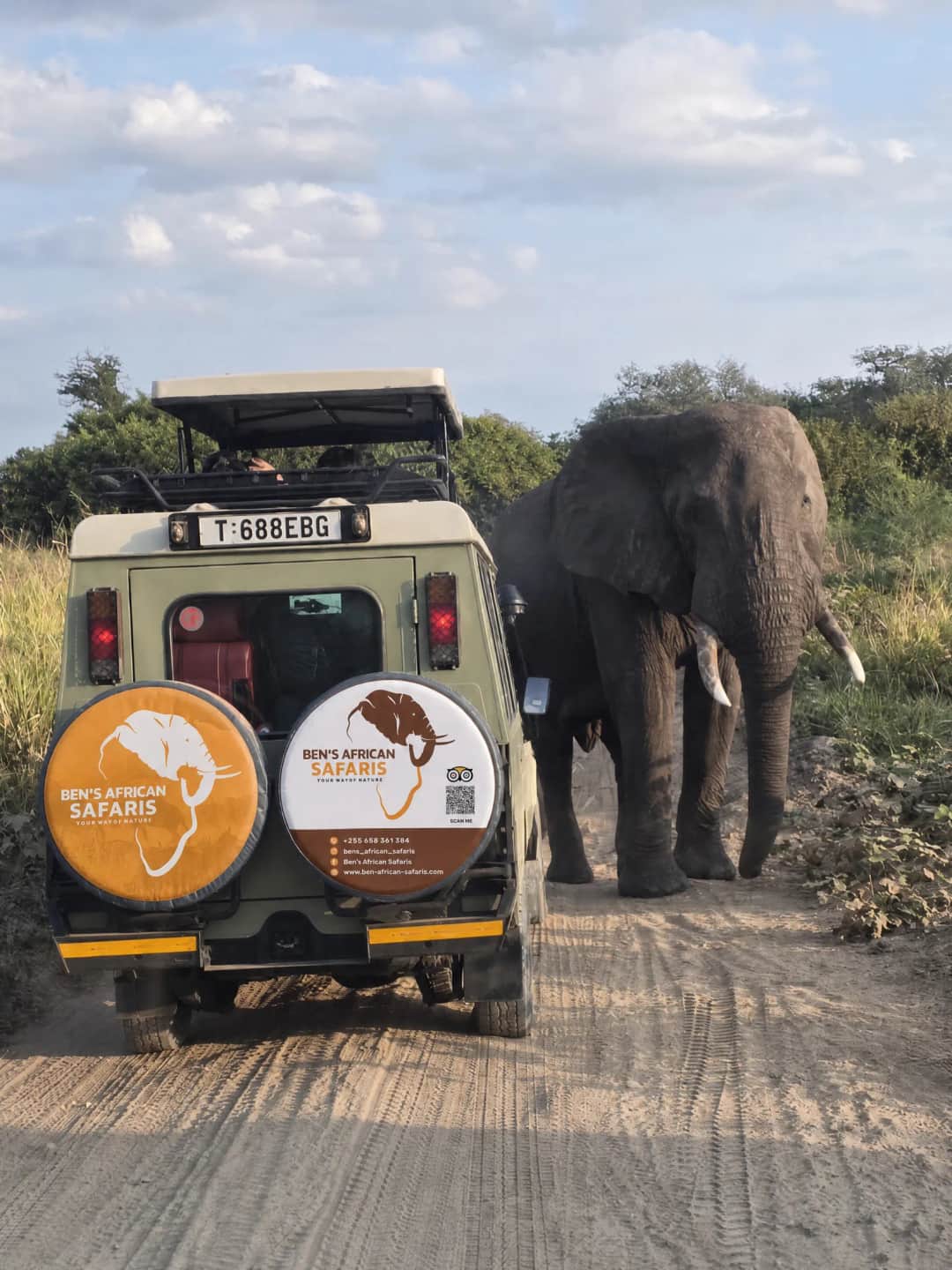 BEN’S AFRICAN SAFARIS photo 2