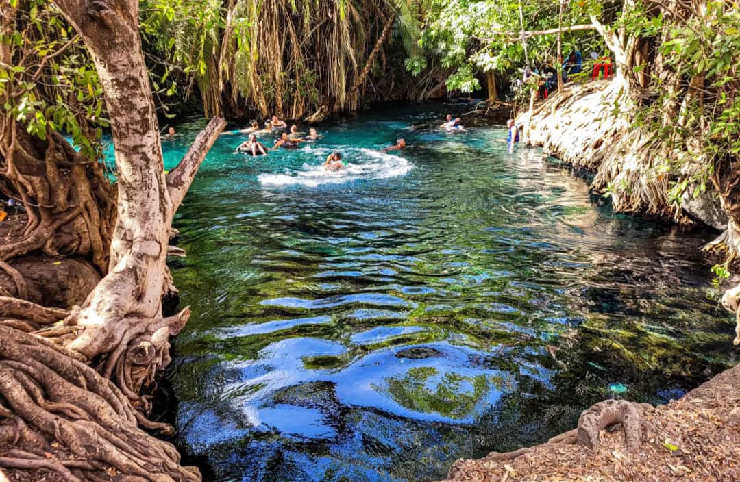 1-Day Materuni Waterfall & Chemka Hot Springs photo 2