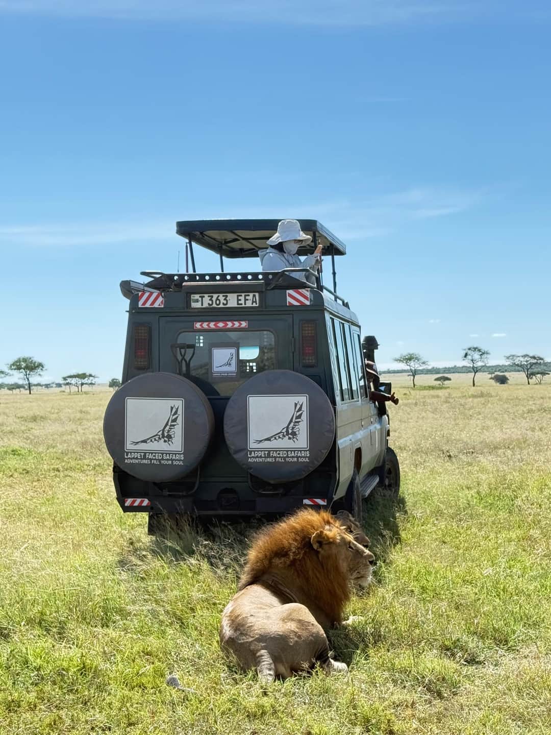 Arusha - Lake Manyara Game Drive
