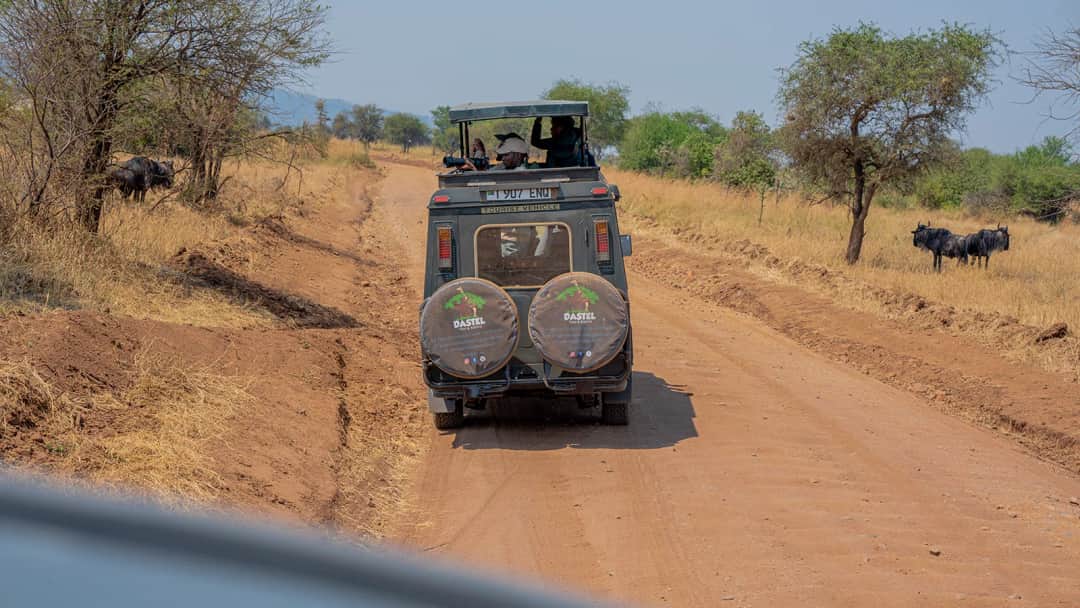 DASTEL TOUR AND SAFARIS photo 5