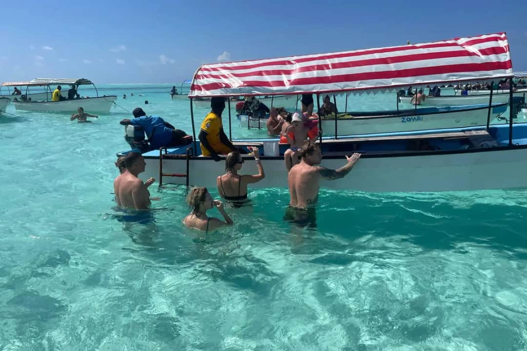 1-Day Mnemba Boat Trip and Dolphin Snorkel Adventure photo 3