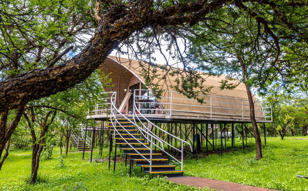 Ngorongoro Safari Lodge photo 11