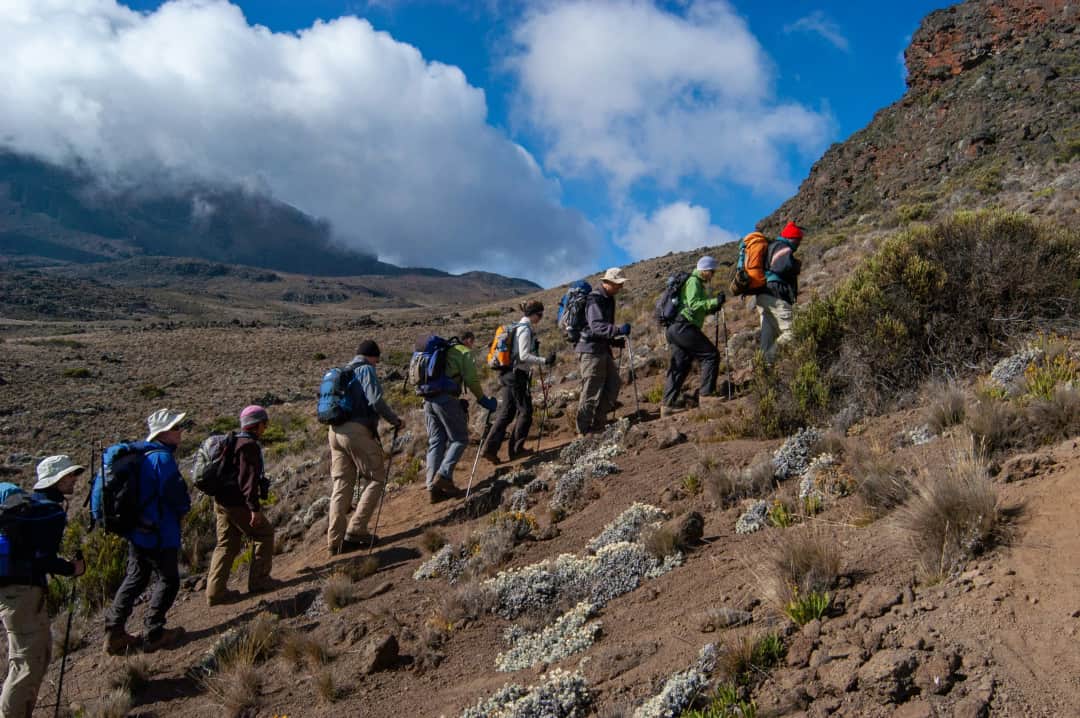 Ascension du Kilimandjaro en 6 jours – Voie Marangu photo 2