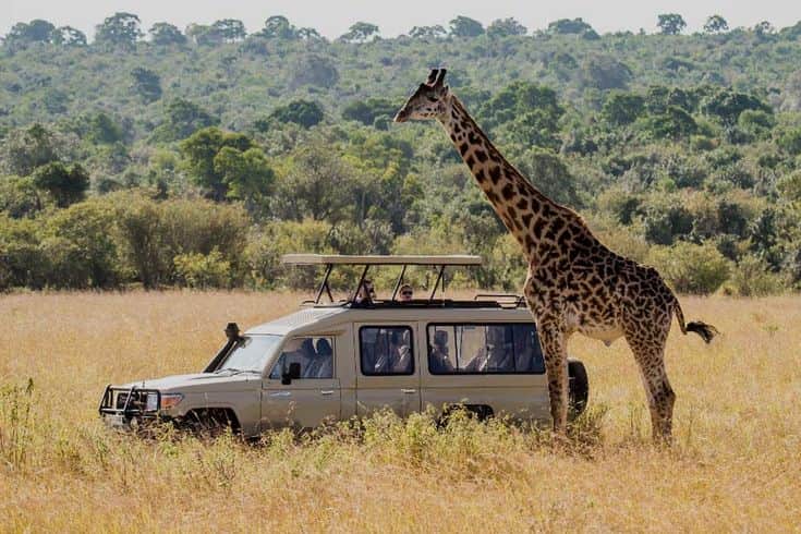 4-Day A Safari Through Wildlife & Culture photo 5