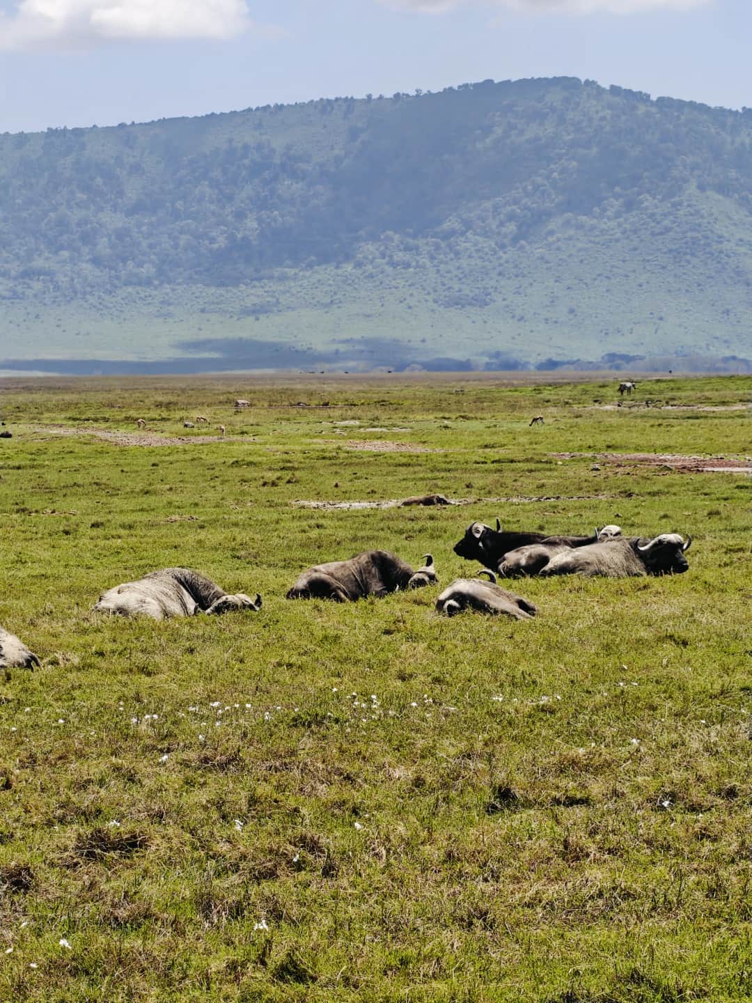 6-Day Classic Tanzania Big Five Quest photo 3