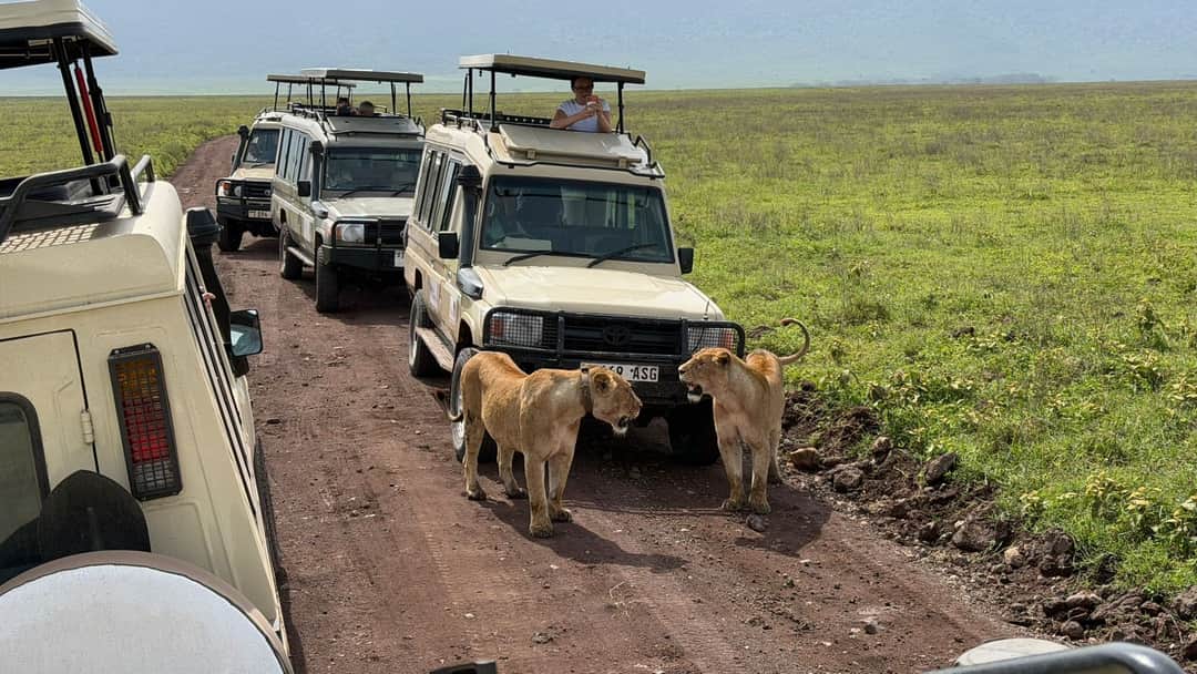 Swahili Safari Escape photo 15