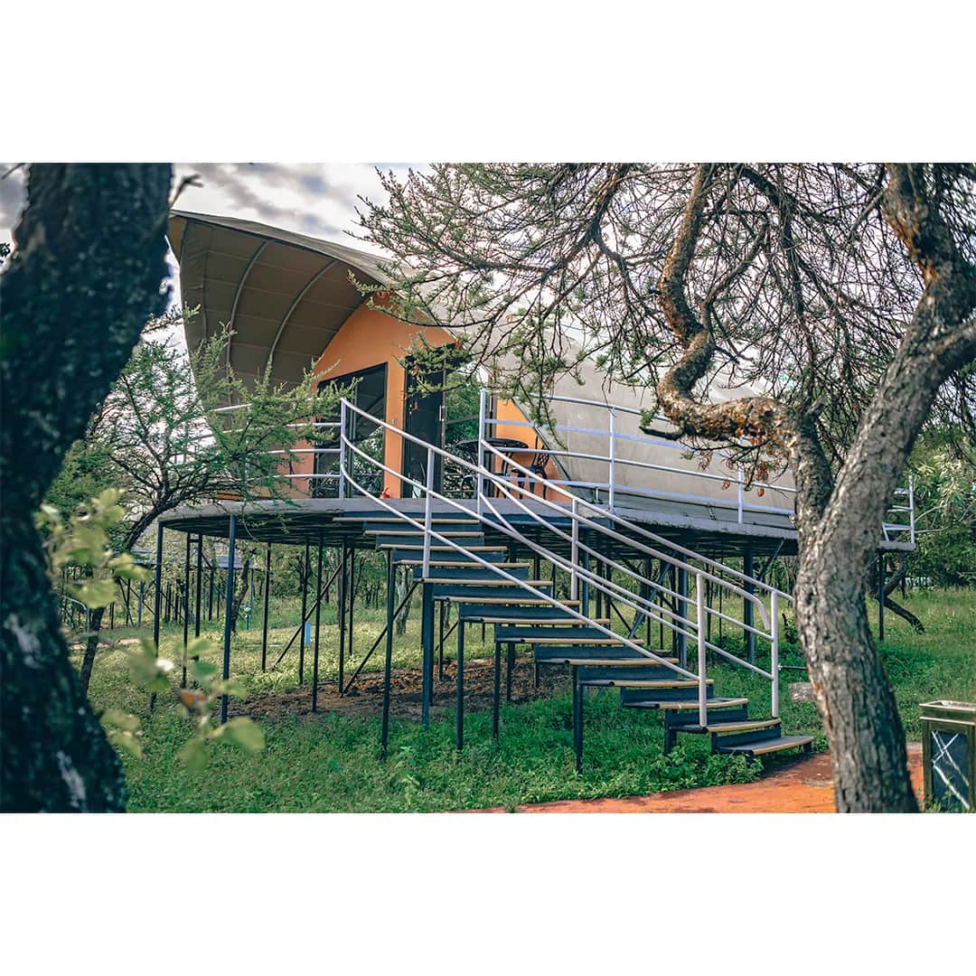 Ngorongoro Safari Lodge photo 7