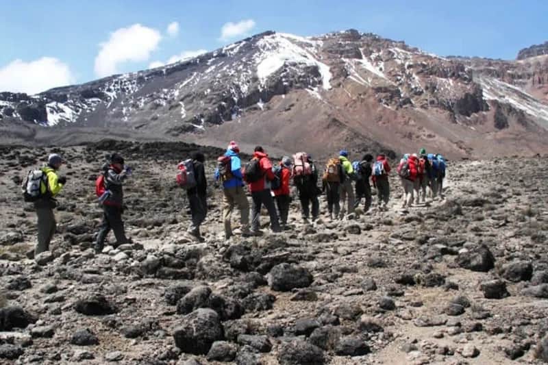 Nature Pulse Expeditions photo 9