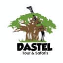 DASTEL TOUR AND SAFARIS