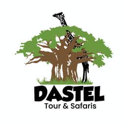 DASTEL TOUR AND SAFARIS