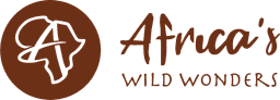 Africa's Wild Wonders