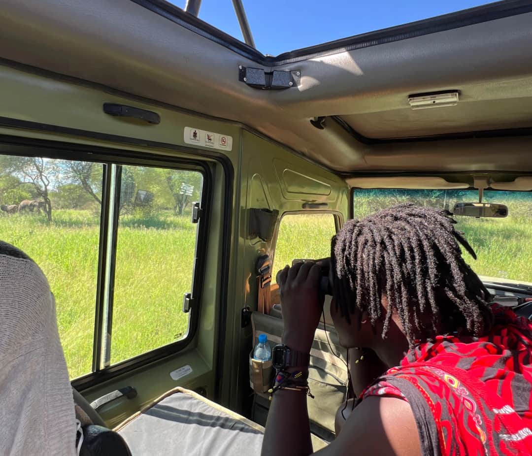 1-Day Tarangire National Park Safari photo 3