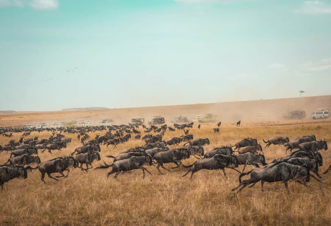 Arusha to Serengeti National Park