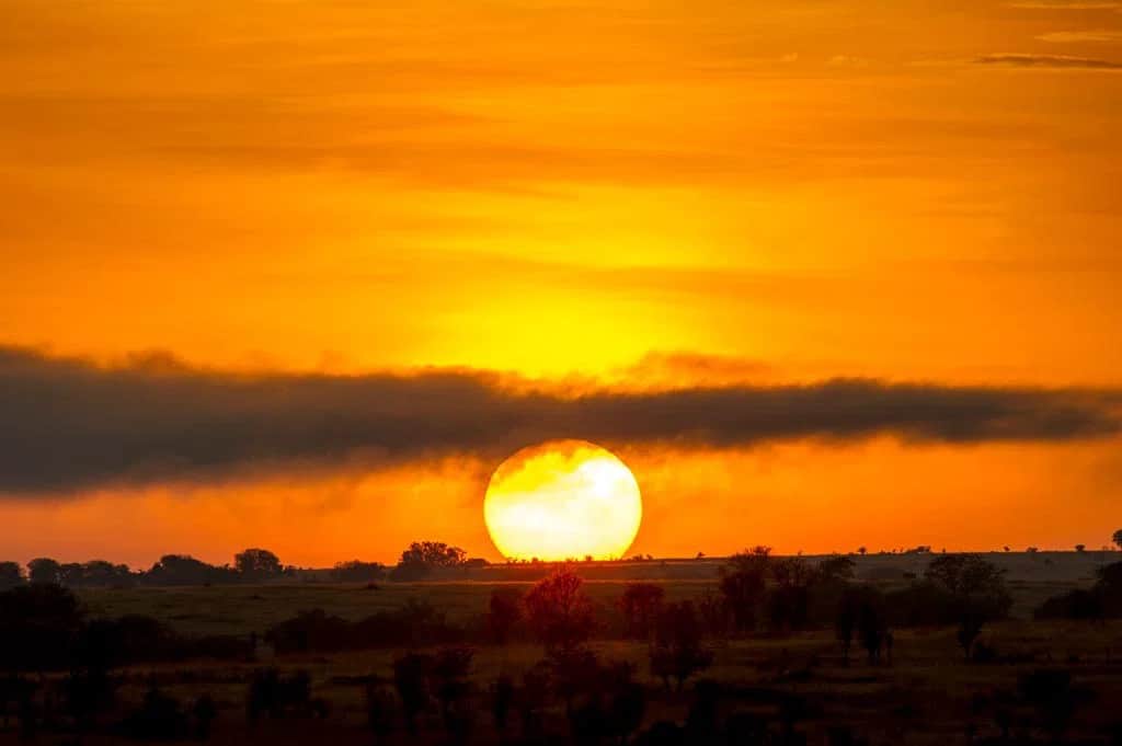 Serengeti National Park.