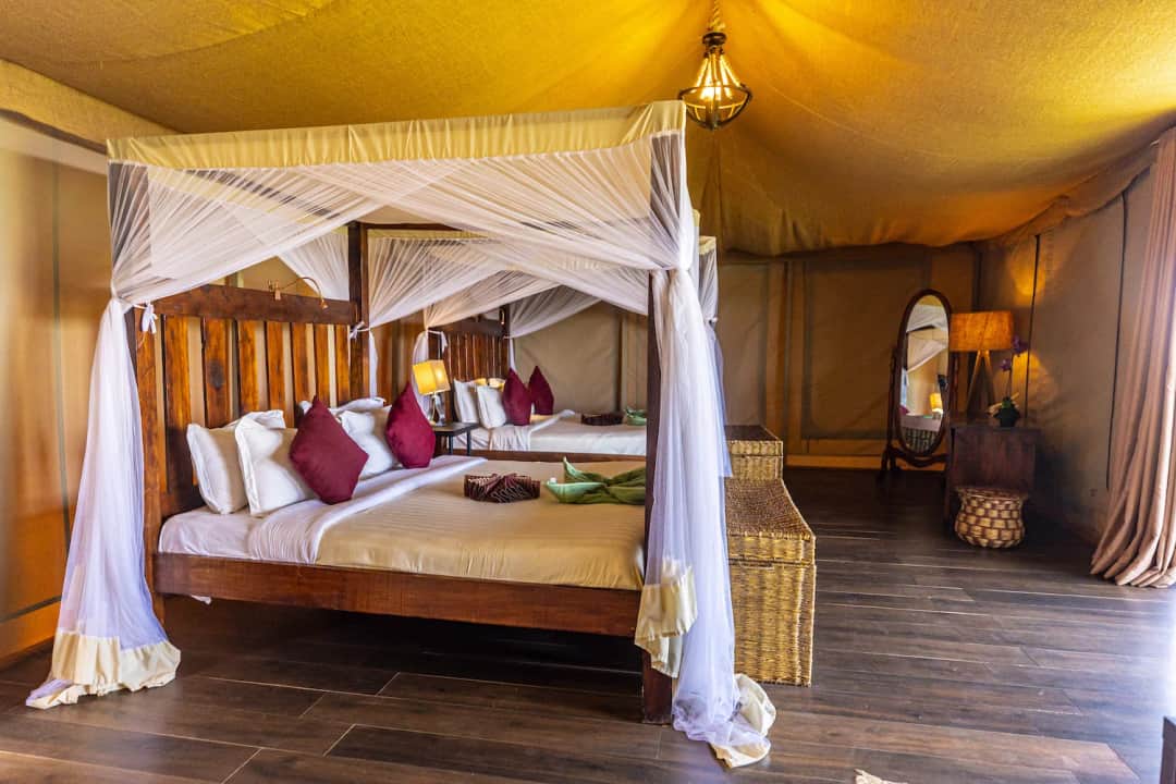 Serengeti Safari Lodge photo 10