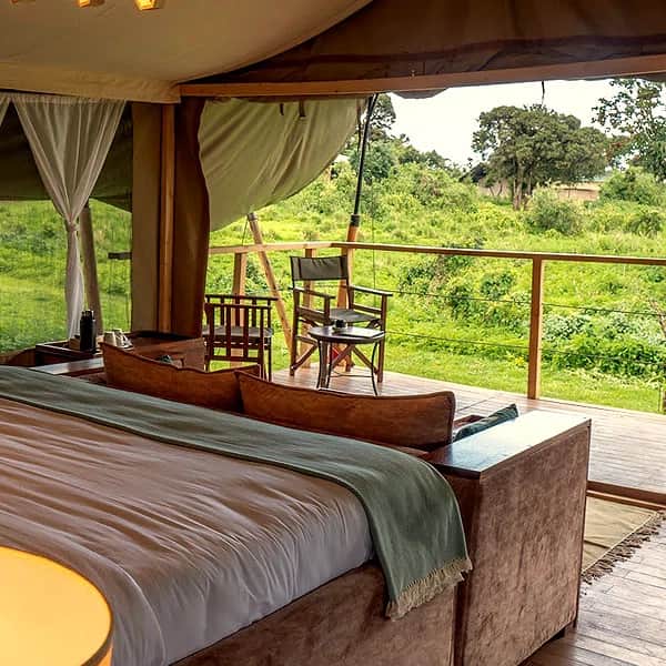 Safari Haven Camp