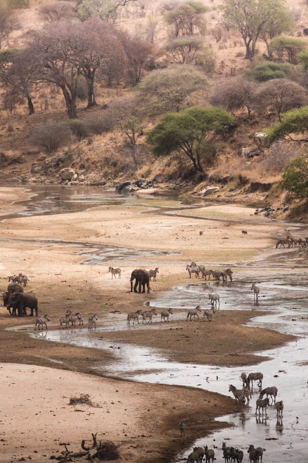 Safari au cratère du Ngorongoro