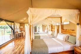 Full day Serengeti