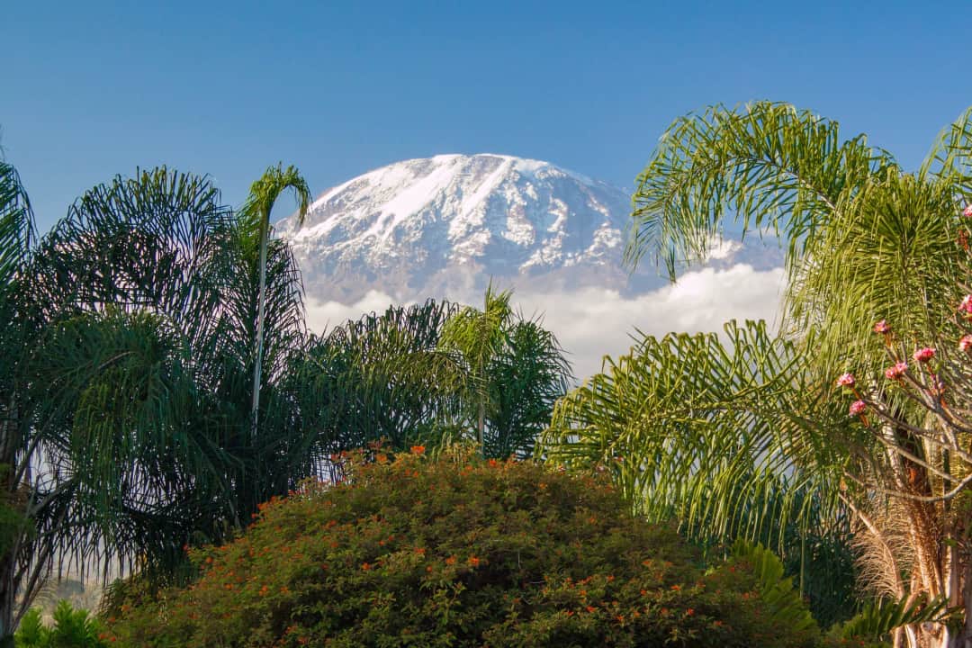 Horombo Hut to Marangu Gate and Return to Moshi