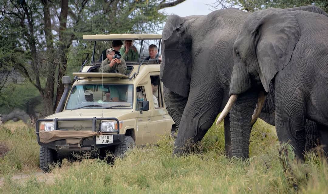 Return to Moshi or Arusha