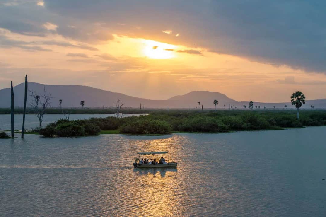 Safari a pie – Safari en barco – Vuelo de regreso a Zanzíbar
