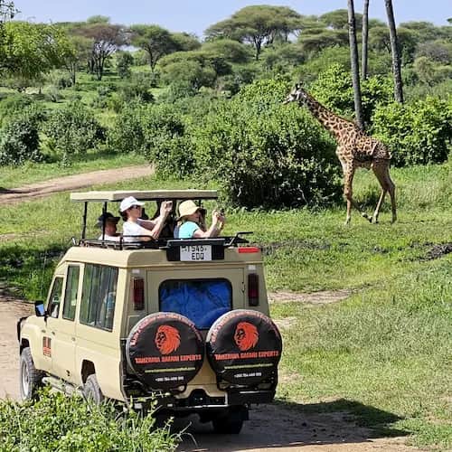 Game Drive in Tarangire National Park