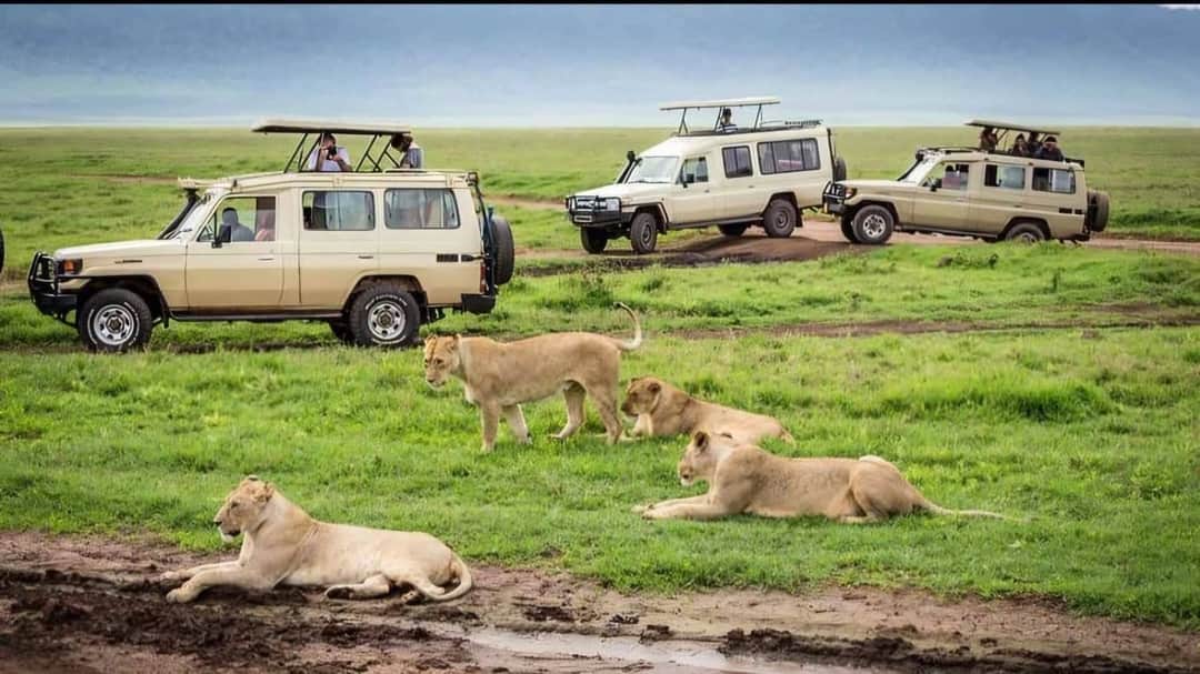 Zanzibar - Serengeti National Park