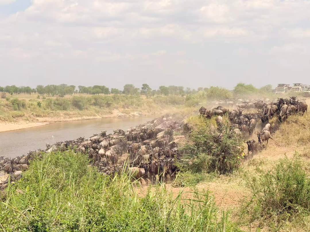 Ngorongoro Crater Back to Arusha