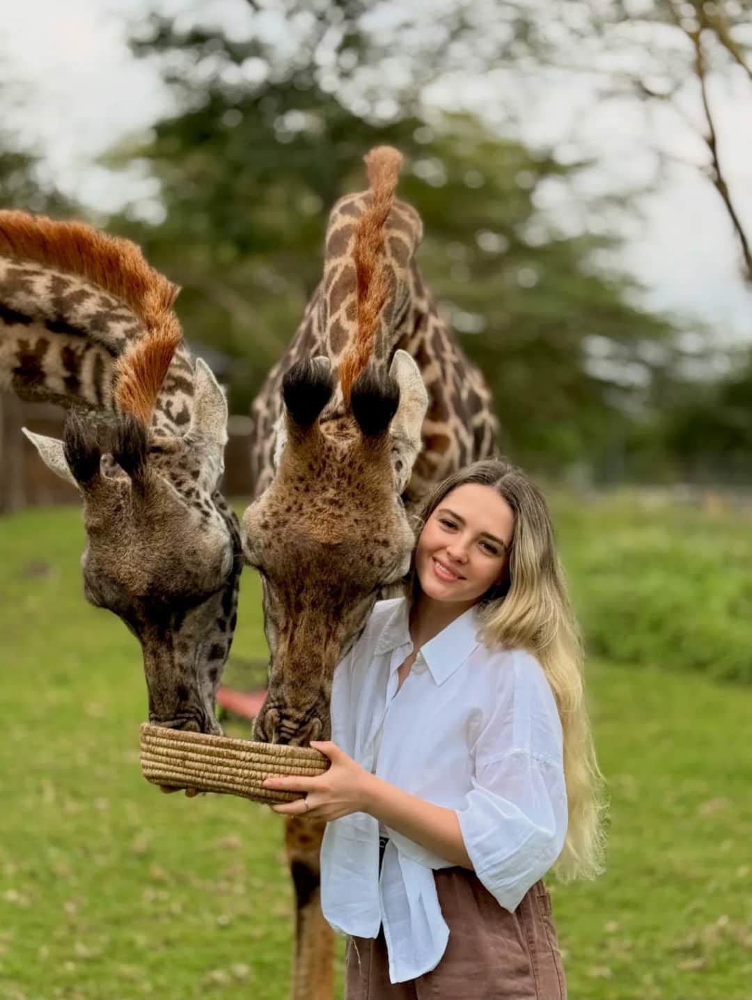 Serval Wildlife Sanctuary Encounter