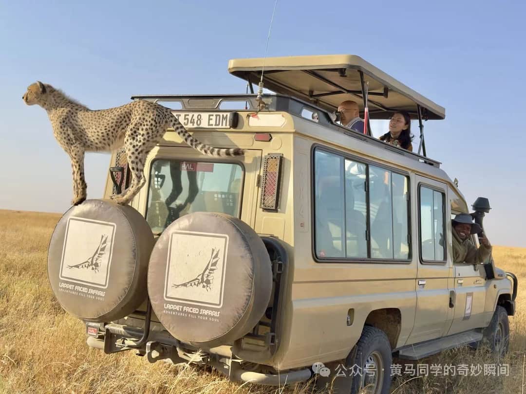 Ndutu Game Drive