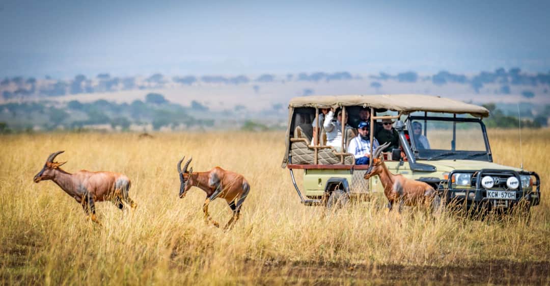 Into the Serengeti Plains