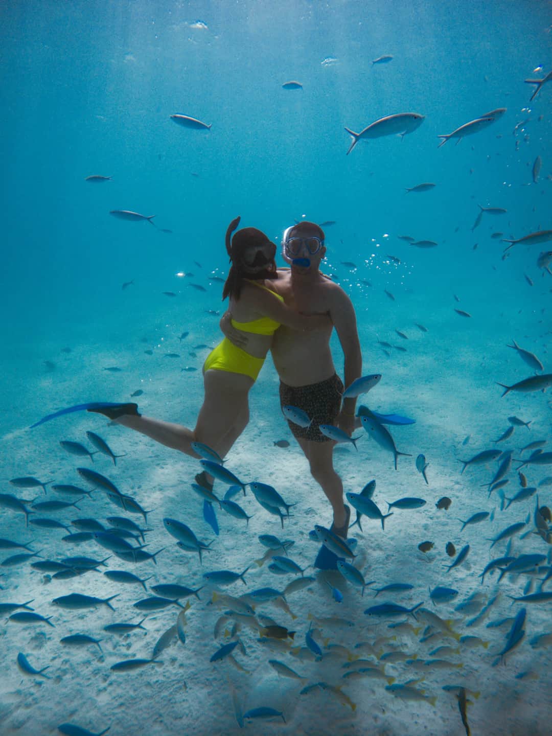 Mnemba Atoll Snorkeling and Sunset Dhow Cruise