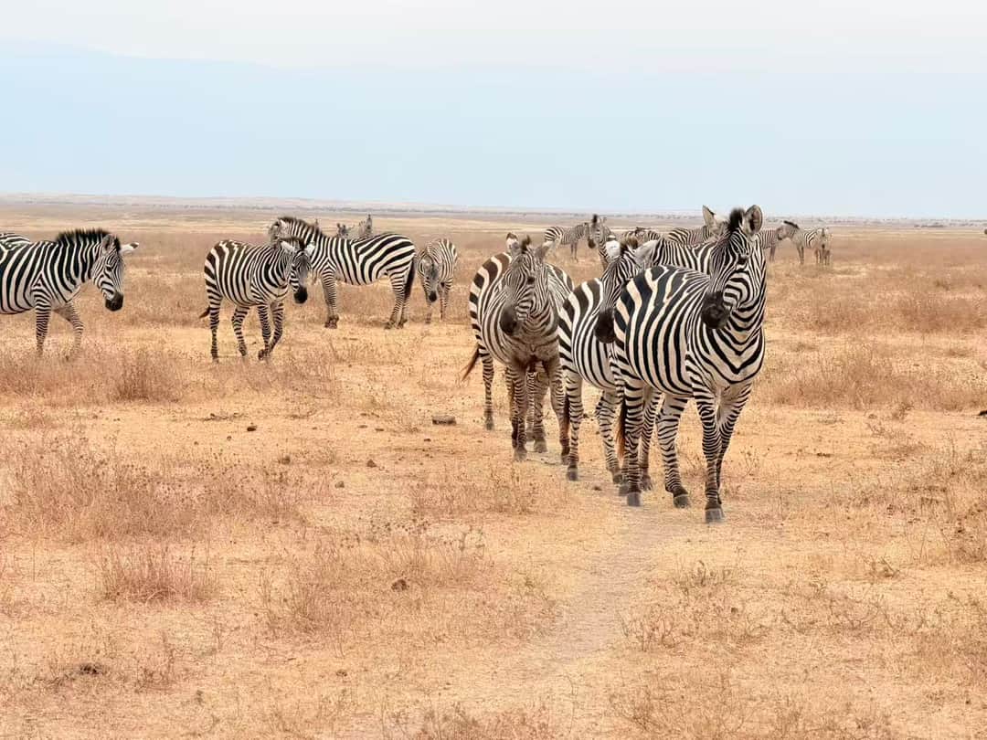 Arrival at Kilimanjaro Airport