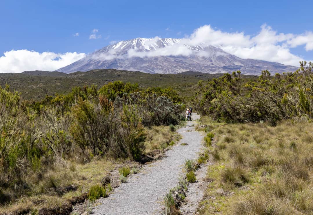 Saddle Hut – Miriakamba Hut – Momella Gate – Arusha