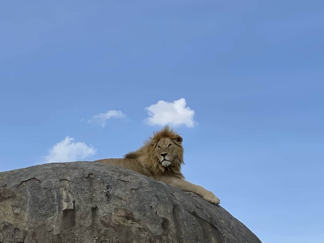 Lake manyara