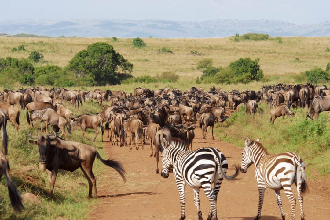Serengeti National Park