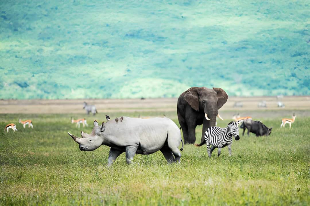 NGORONGORO CRATER
