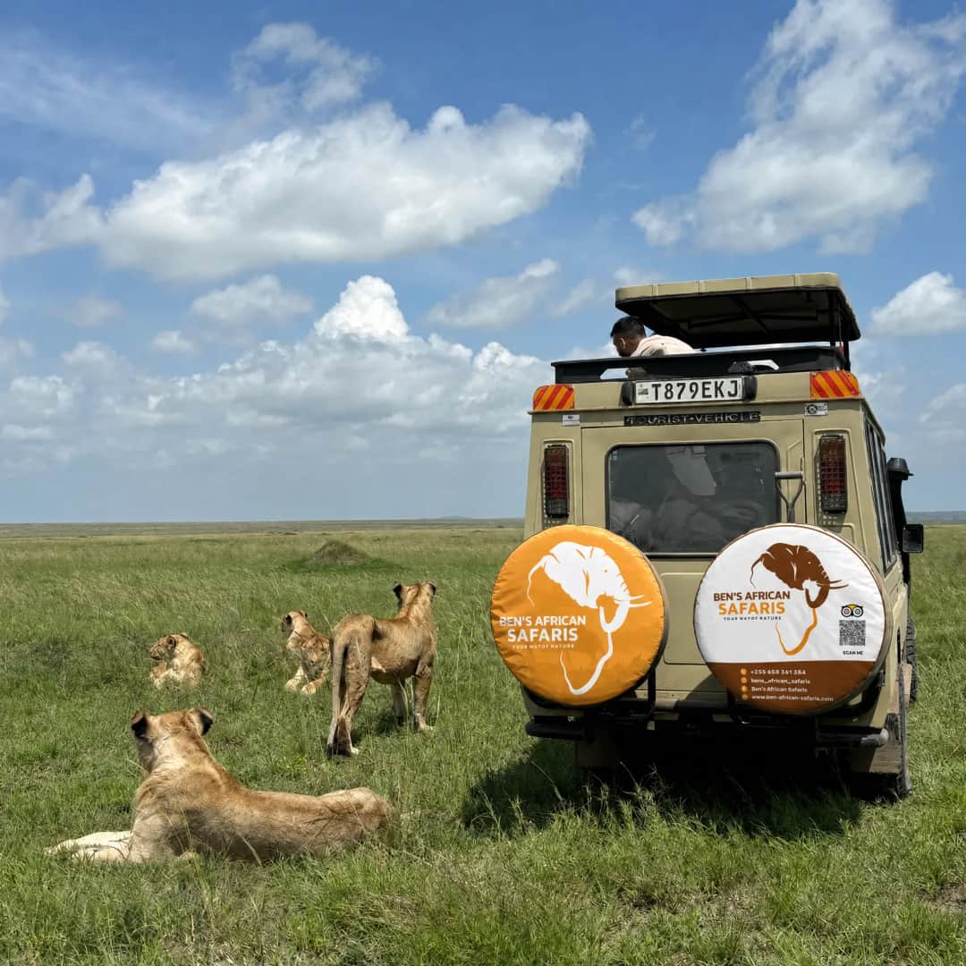 DRIVE TO CENTRAL SERENGETI NATIONAL PARK