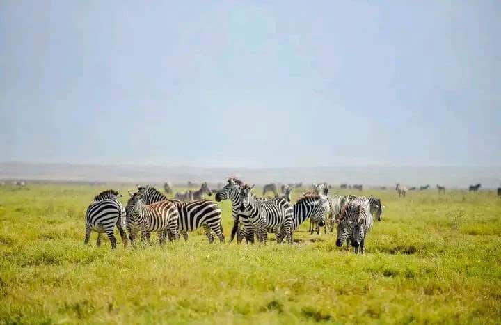 Ngorongoro Crater, Tanzania